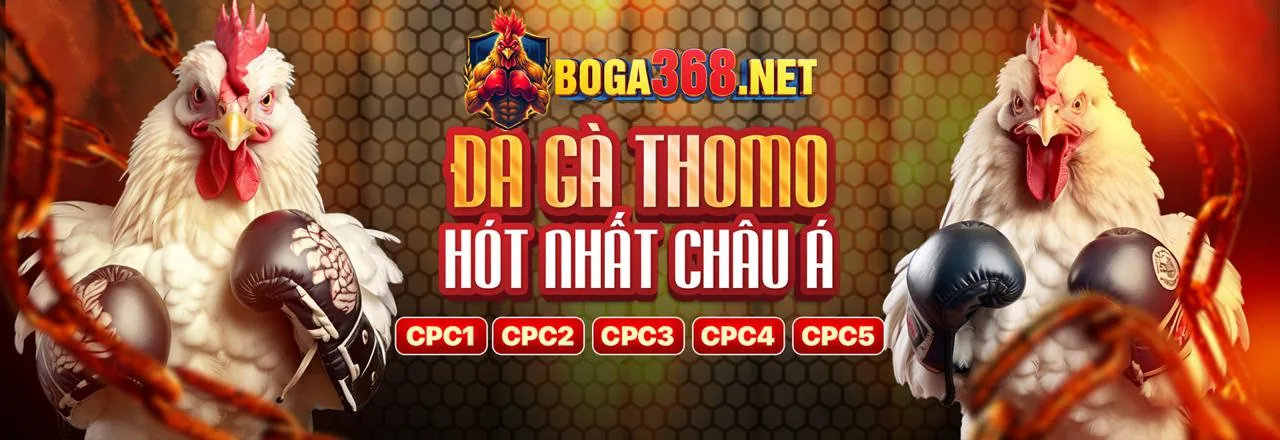Đá gà trực tuyến 88ii trang chủ chính thức